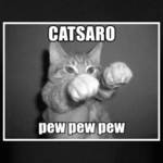 catsaro_design.png